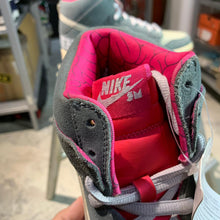 Load image into Gallery viewer, FT SAMPLE DS 2009' Nike Dunk High Pro SB BRAIN WRECK