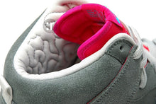 Load image into Gallery viewer, FT SAMPLE DS 2009' Nike Dunk High Pro SB BRAIN WRECK