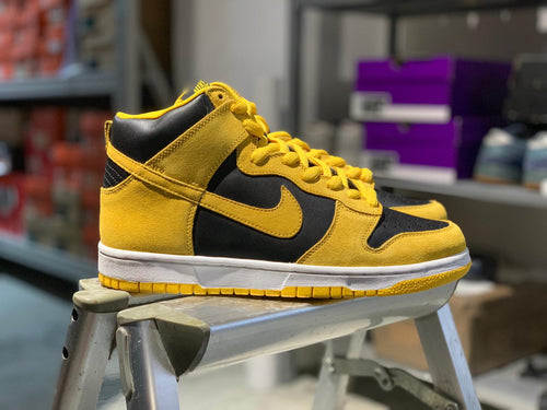 FT SAMPLE DS 2005' Nike Dunk High Pro SB LOWA WUTANG Colorway 